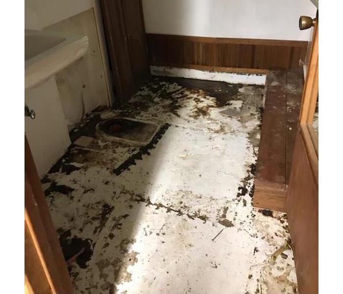Sewage backed up in bathroom