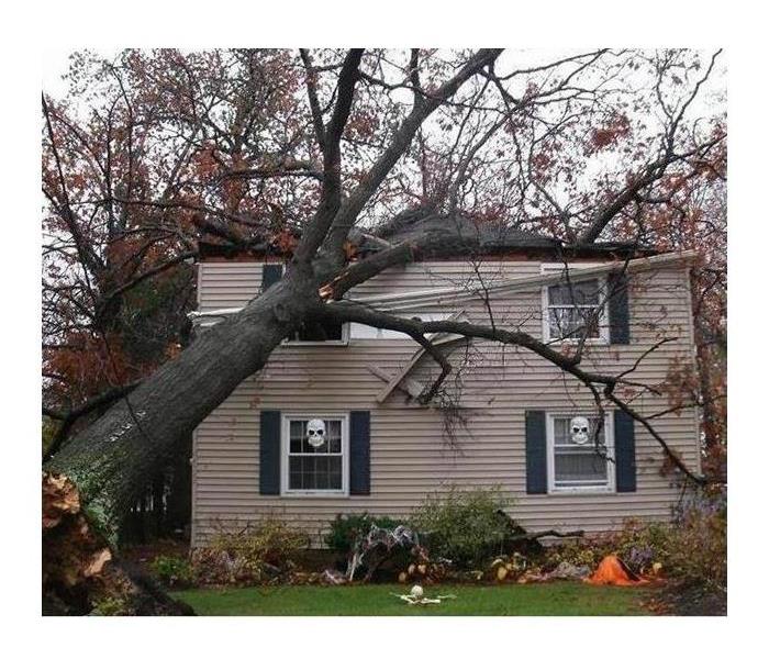 Winter storm caused tree to fall on house.